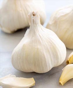 Clove of Garlic 