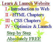 web page Design