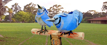 3d Birds Models