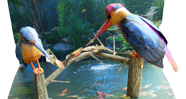 Kingfisher bird Paper   Model