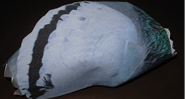  Pigeon  Paper Craft  Model