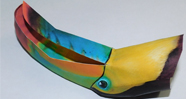 Free Toucan Bird Paper Craft Model