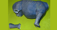 Animal Rhinoceros