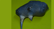 Animal Rhinoceros  Paper   Model