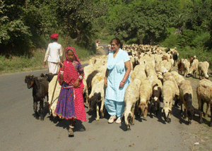 Photos Images of Mount Abu