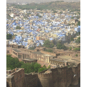  jodhpur