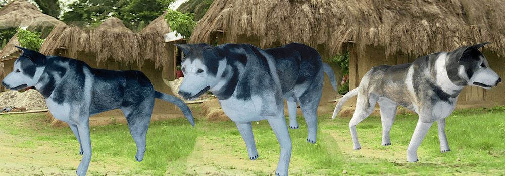 Dog Paper Craft 3d Model