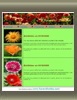 Free  Website 