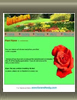 web Template 